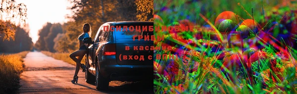 mdpv Кукмор